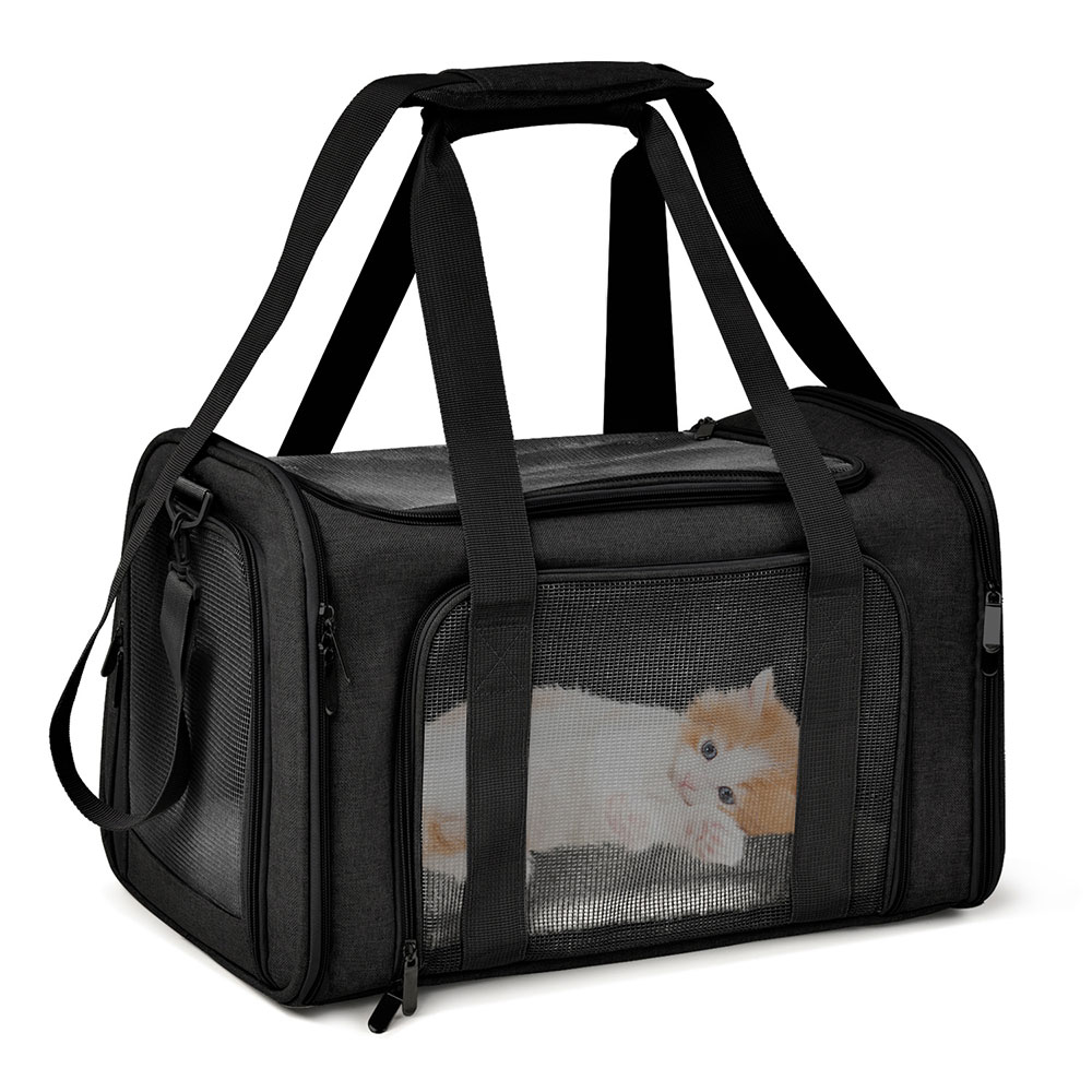 Sac de transport pliable et im - Foldable Backpack Small avis et prix